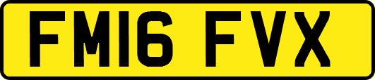 FM16FVX
