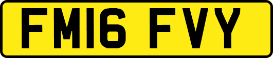 FM16FVY