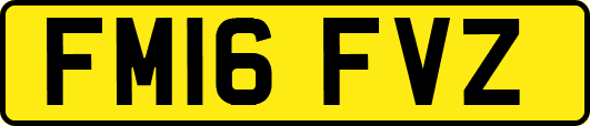 FM16FVZ