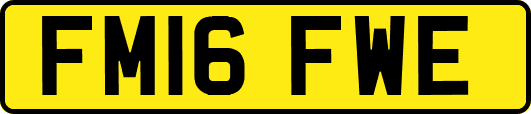 FM16FWE
