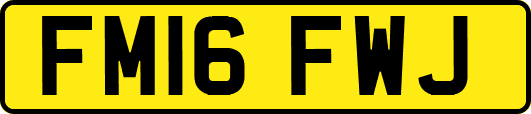 FM16FWJ