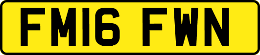 FM16FWN