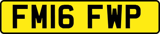 FM16FWP