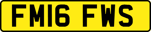 FM16FWS