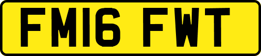 FM16FWT
