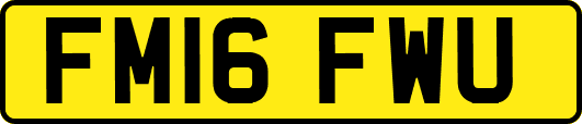 FM16FWU