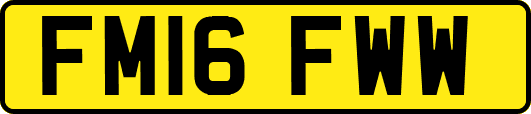 FM16FWW
