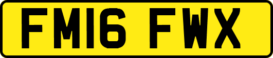FM16FWX