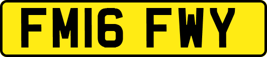 FM16FWY