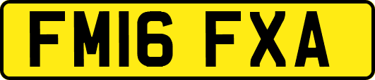 FM16FXA