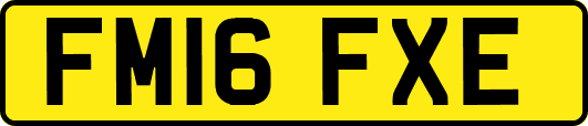 FM16FXE