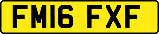 FM16FXF
