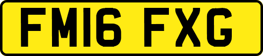 FM16FXG