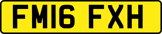FM16FXH