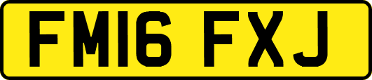 FM16FXJ