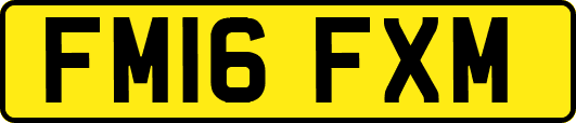 FM16FXM