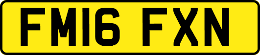 FM16FXN
