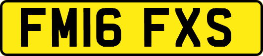 FM16FXS