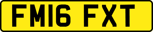 FM16FXT