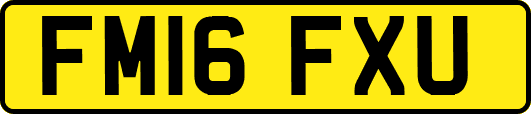 FM16FXU