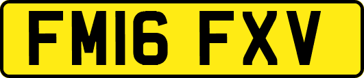 FM16FXV