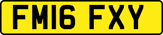 FM16FXY