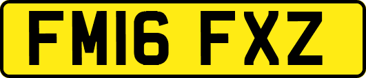 FM16FXZ