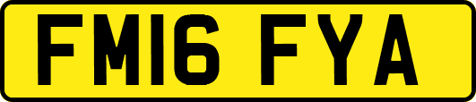 FM16FYA