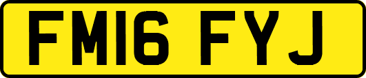 FM16FYJ