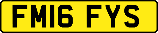 FM16FYS