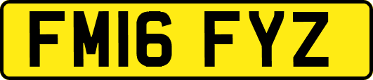 FM16FYZ