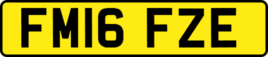 FM16FZE