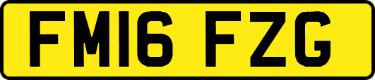FM16FZG
