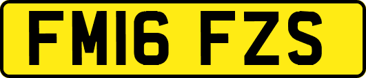 FM16FZS