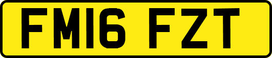 FM16FZT