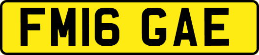 FM16GAE