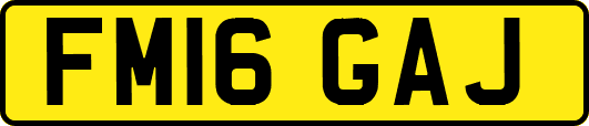 FM16GAJ
