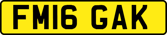 FM16GAK