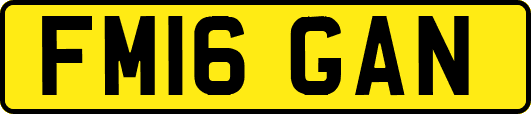 FM16GAN