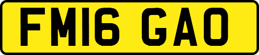 FM16GAO