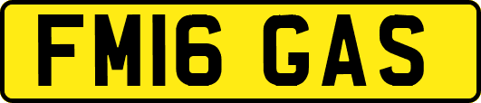 FM16GAS