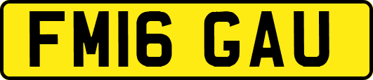 FM16GAU