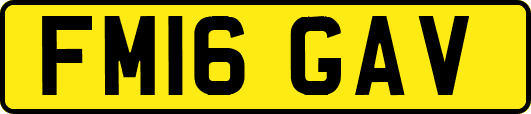 FM16GAV