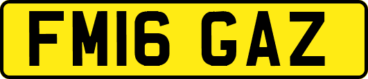 FM16GAZ