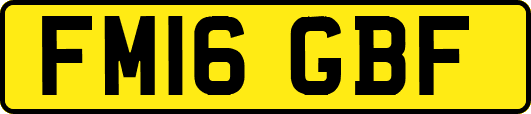 FM16GBF