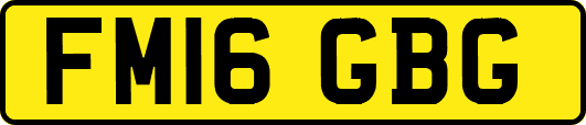 FM16GBG