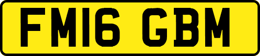 FM16GBM