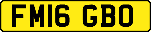 FM16GBO
