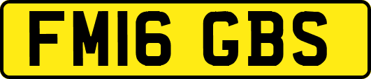 FM16GBS
