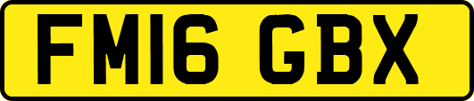 FM16GBX